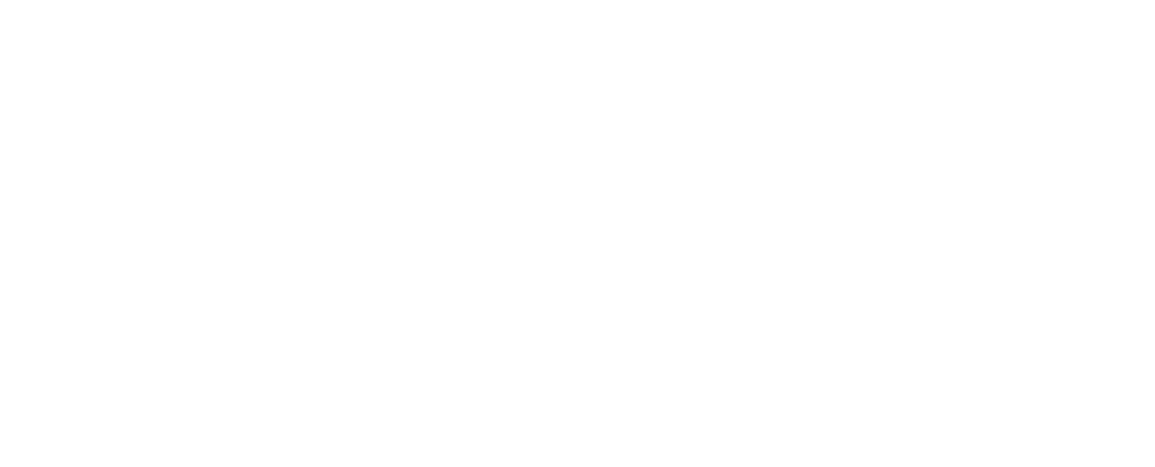 Default Logo